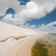 Illustration for article titled Brazilian park reveals what happened when the rains finally came to Dune